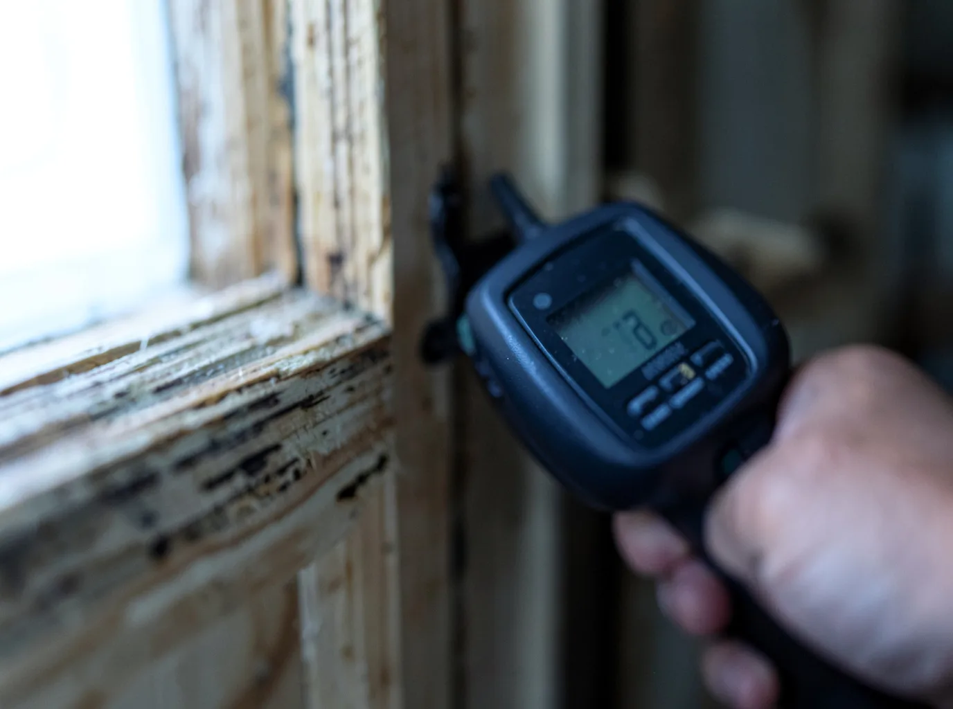 Moisture Inspection And Documentation in Felicity, OH